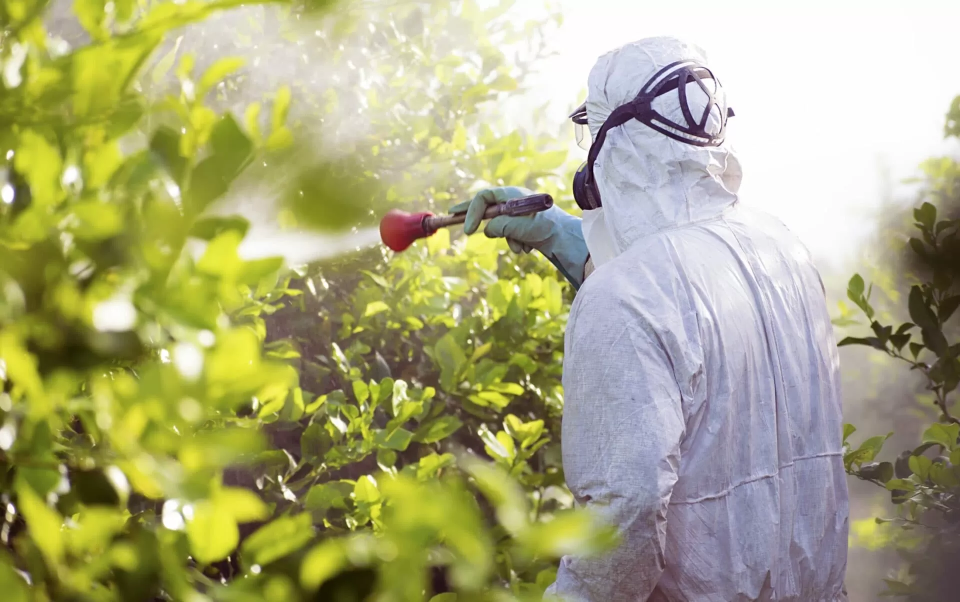 Pest control exterminator in hazmat suit spraying chemicals for pest eradication in outdoor grounds