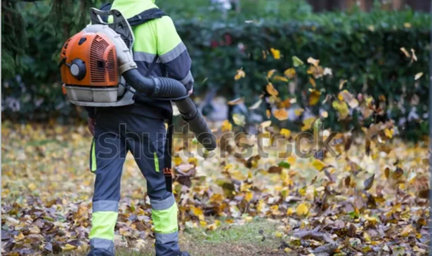 Leaf Blowing Picture